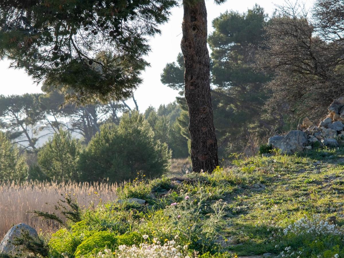 Villa Des Cathares 카르카손 외부 사진